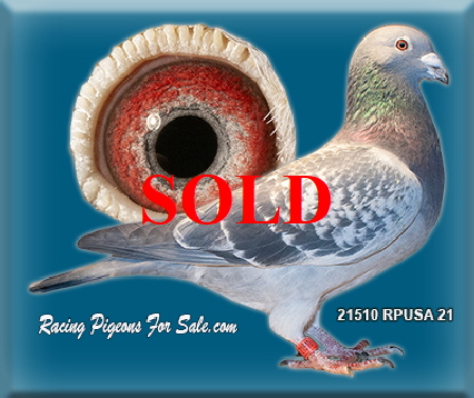 21510RPUSA21